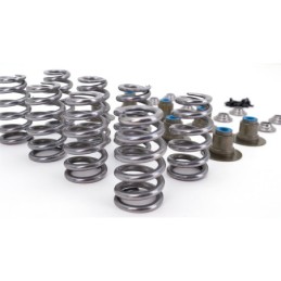 Kit de ressorts de soupapes haute levée star racing milwaukee eight 777106