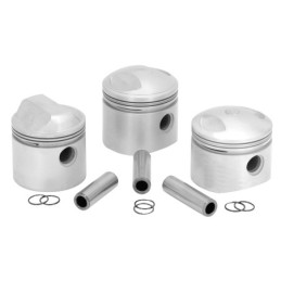 Pistons de rechange 769019