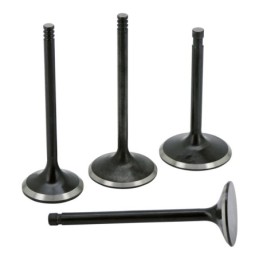 Soupapes av&v utilisation extreme 749183