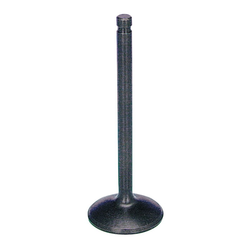 Soupapes d'echappement speciales pour culasses "branch" et "std" 237183