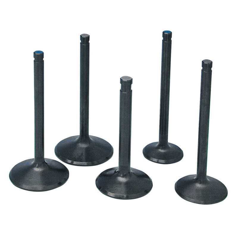 Soupapes en inox hautes performances "black diamond" par precision machining 729559