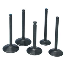 Soupapes en inox hautes performances "black diamond" par precision machining 729562