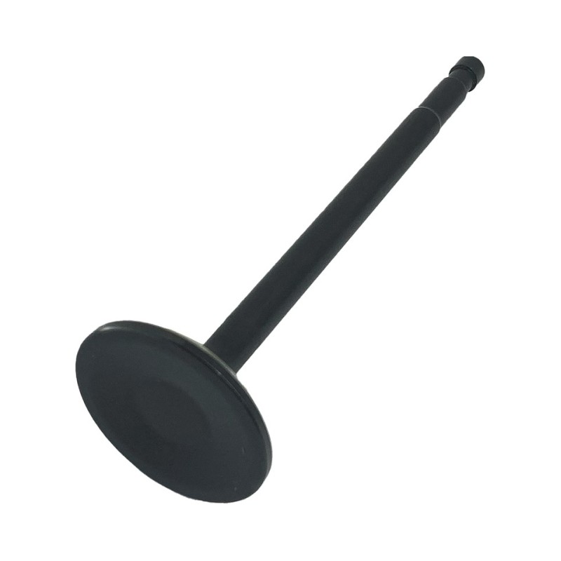 Soupapes en inox hautes performances "black diamond" par precision machining 756058