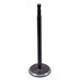Soupapes en inox hautes performances "black diamond" par precision machining 756059