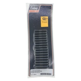 Visserie de culasse colony pour soupapes laterales 754868