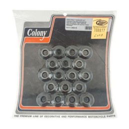 Visserie de culasse colony pour soupapes laterales 788817