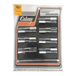 Visserie de culasse colony pour soupapes laterales 788833