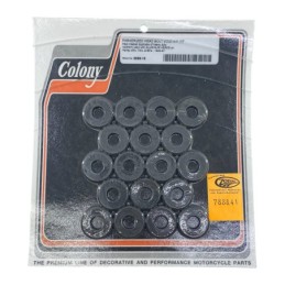 Visserie de culasse colony pour soupapes laterales 788841