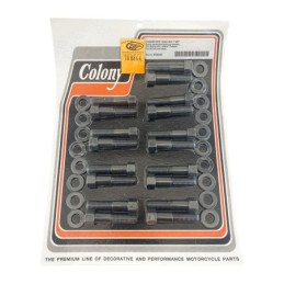 Visserie de culasse colony pour soupapes laterales 788844