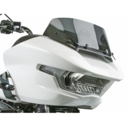 National cycle pare-brise vstream de remplacement pour touring 735380