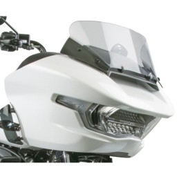 National cycle pare-brise vstream de remplacement pour touring 735381