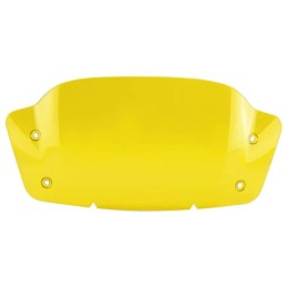 Pare-brise pour carenages batwing 2023 au present 775367