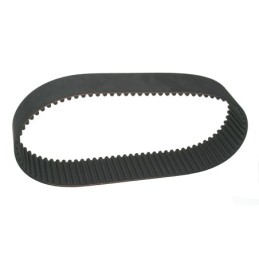 Courroies de remplacement pour primo 722259