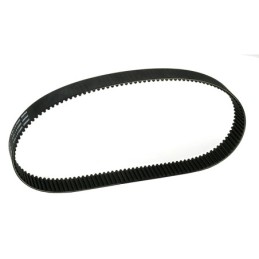 Courroies de remplacement pour primo 722971