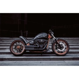 Kit tommy & sons sinner pour milwaukee eight softail 761177