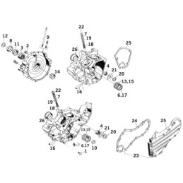 Vis de vidange pour big twin boite 4 710864