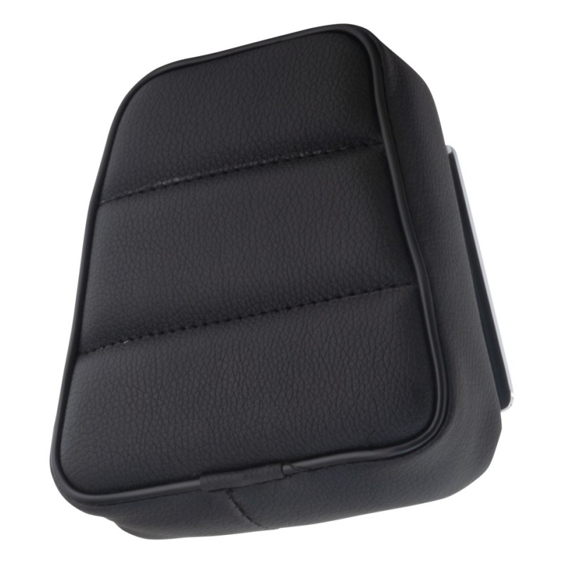 Coussins de sissy bar 757341