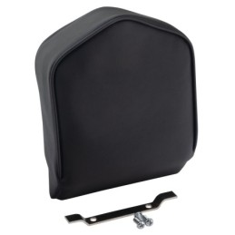 Coussins de sissy bar 757342