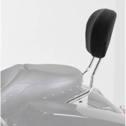 Kit sissy bar detachable pour touring 770759