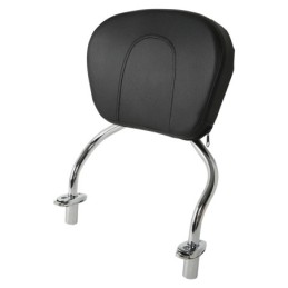 Kits de sissy bar demontage rapide pour trike 770760