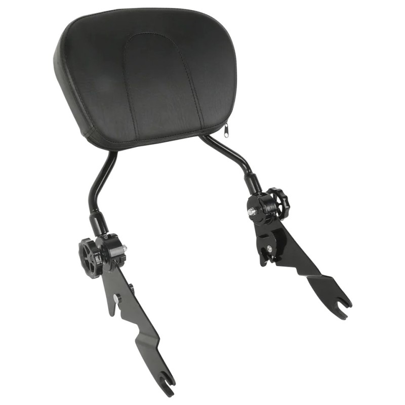 Kits de sissy-bar inclinables amovibles pour touring 770756