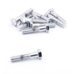Assortiment de vis a tête hexagonale chromees 233285