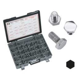 Assortiment de vis a tête hexagonale chromees 233293