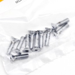 Assortiment de vis a tete plate fraisee chromees 238222
