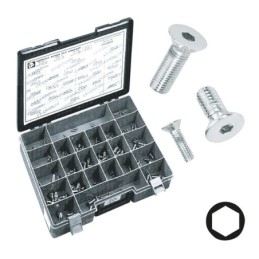 Assortiment de vis a tete plate fraisee chromees 238223