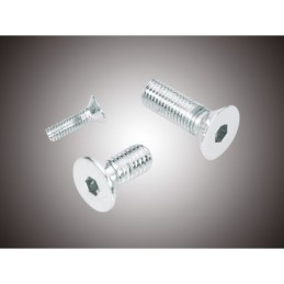 Assortiment de vis a tete plate fraisee chromees 238223