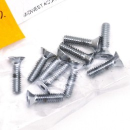 Assortiment de vis a tete plate fraisee chromees 238225
