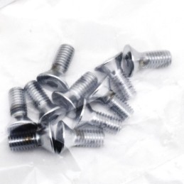 Assortiment de vis a tete plate fraisee chromees 238227