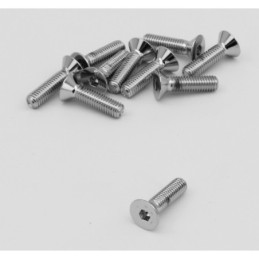 Assortiment de vis a tete plate fraisee chromees 238228