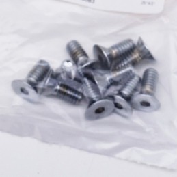 Assortiment de vis a tete plate fraisee chromees 238230