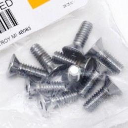 Assortiment de vis a tete plate fraisee chromees 238231