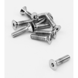 Assortiment de vis a tete plate fraisee chromees 238232