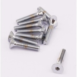 Assortiment de vis a tete plate fraisee chromees 238233