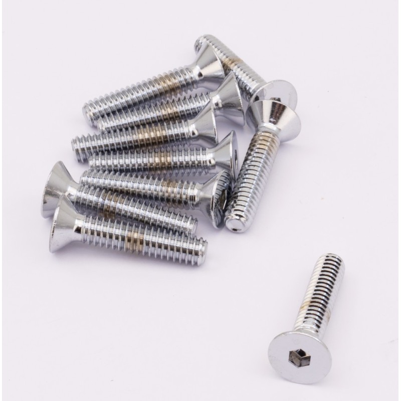 Assortiment de vis a tete plate fraisee chromees 238233