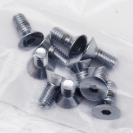 Assortiment de vis a tete plate fraisee chromees 238236