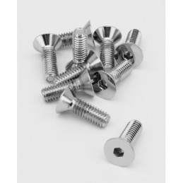 Assortiment de vis a tete plate fraisee chromees 238237
