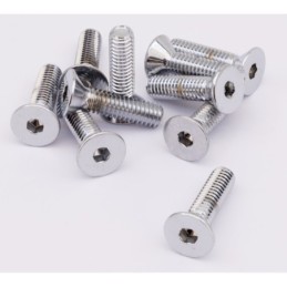 Assortiment de vis a tete plate fraisee chromees 238238