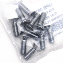 Assortiment de vis a tete plate fraisee chromees 238241