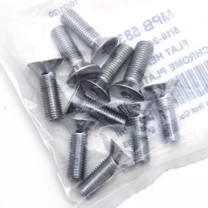 Assortiment de vis a tete plate fraisee chromees 238241