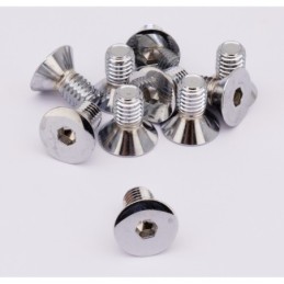Assortiment de vis a tete plate fraisee chromees 238242