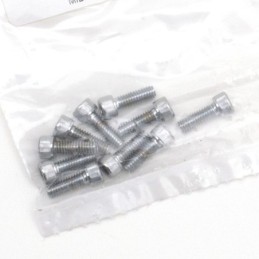 Assortiment de vis allen chromee 233295