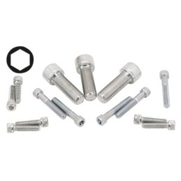 Assortiment de vis allen chromee 233295