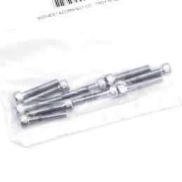 Assortiment de vis allen chromee 233296