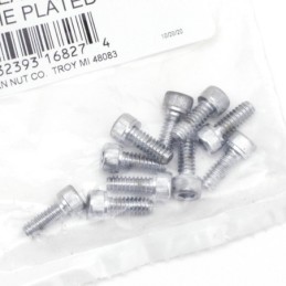 Assortiment de vis allen chromee 233298