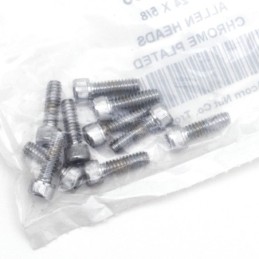 Assortiment de vis allen chromee 233299