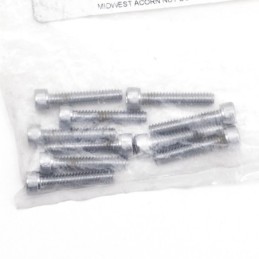 Assortiment de vis allen chromee 233301